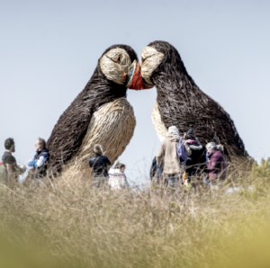 Simplifying payroll for a conservation charity with unique needs